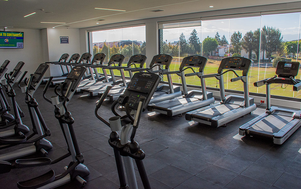 Interior del gimnasio